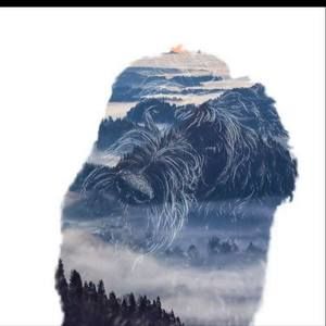 Meet your Posher, Norma